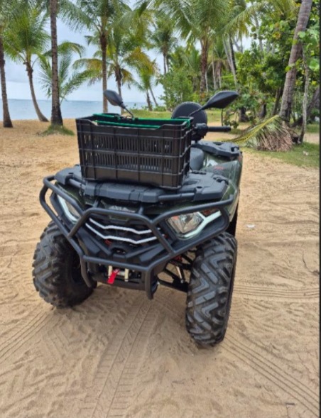 Quad 4x4 Loncin color verde
